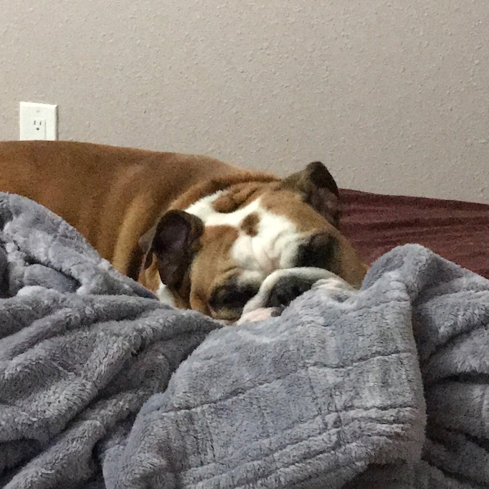 Meet your Posher, Martha